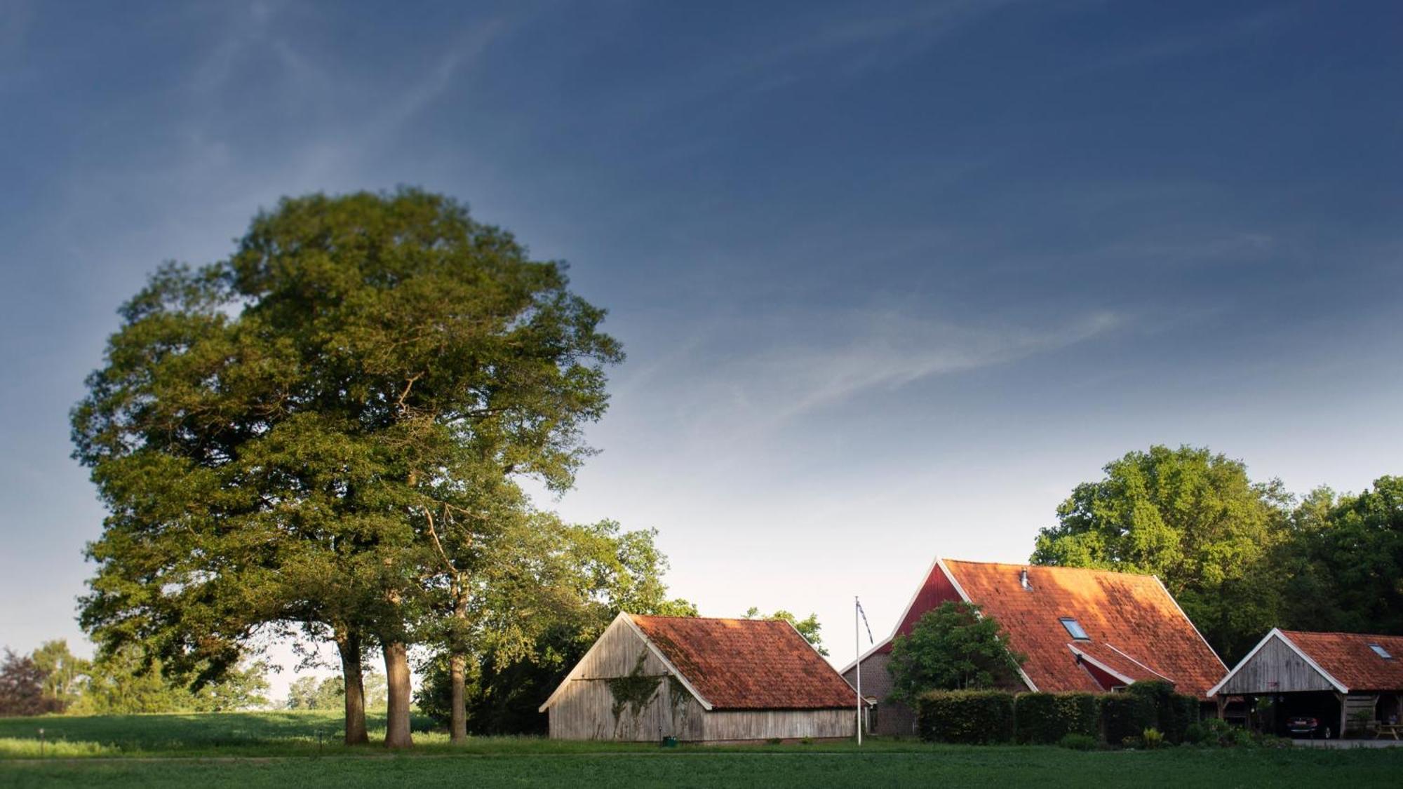 Buitenverblijf Het Grootenhuis Winterswijk Henxel Esterno foto